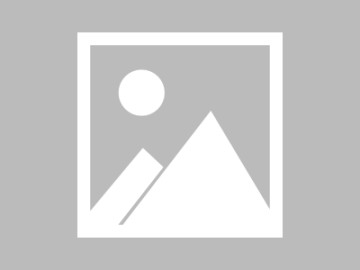 电子商务行业动态反馈与用户价值提升，趋势与策略解析